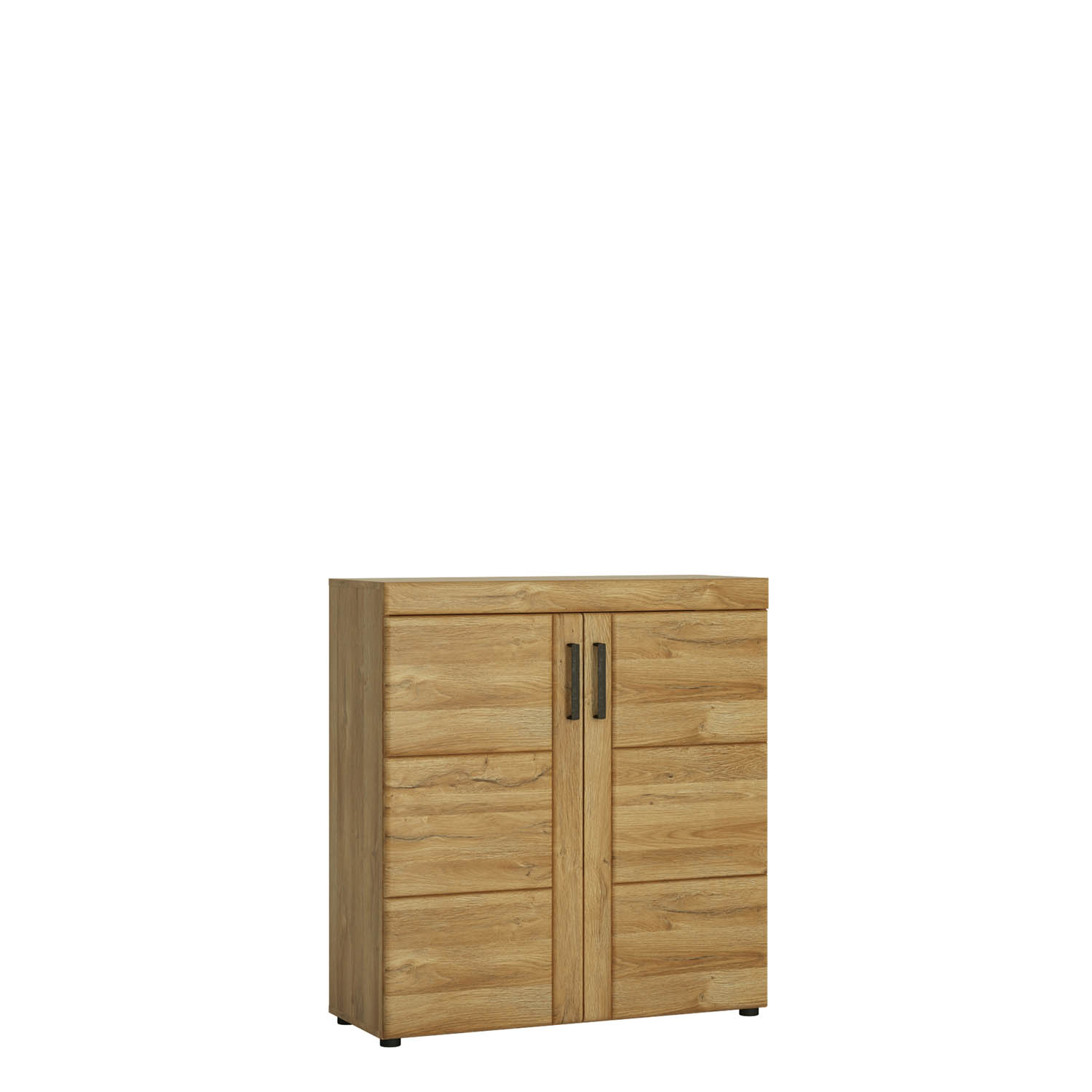 2 door shoe cabinet